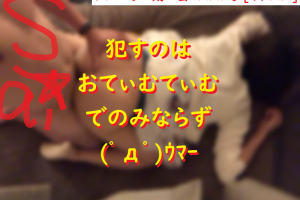 ネットナンパ体験談ブログナンパ画像221228_01
